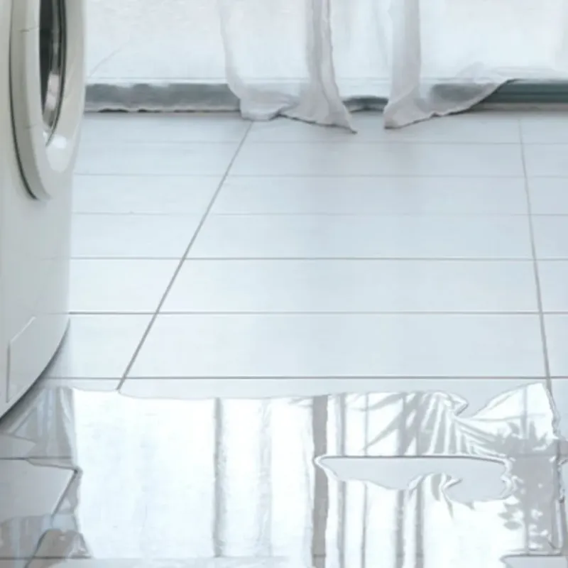 Appliance Leak Cleanup in Mascoutah, IL