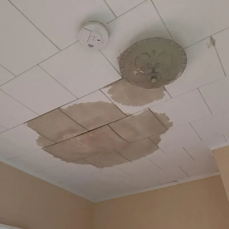 Ceiling Water Damage Repair in Mascoutah, IL