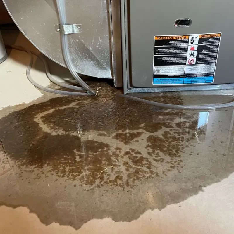 Pipe Burst and Leak Restoration in Mascoutah, IL