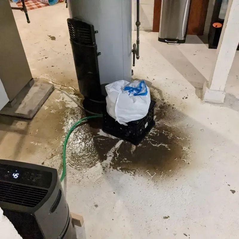 Sewage Backup Cleanup Service in Mascoutah, IL